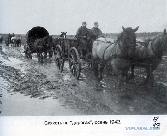 Фото с мест Волховской битвы (Вермахт)