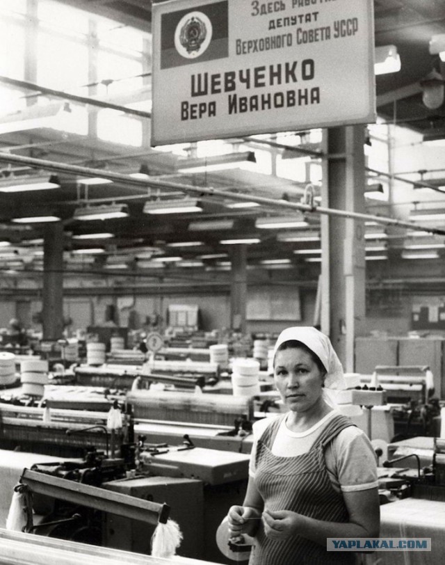 Ходят ли депутаты и чиновники за продуктами