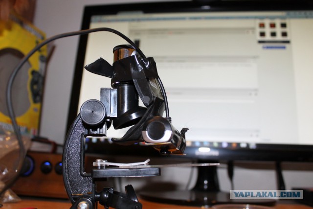 Мир в миллиметре