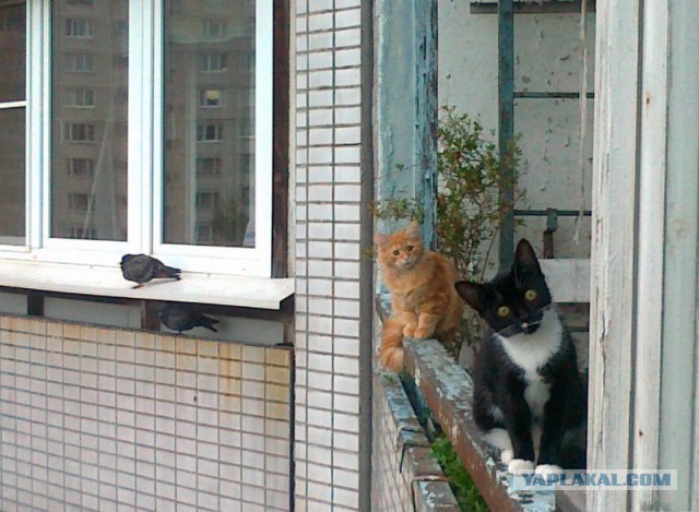 Балконы бывают разные