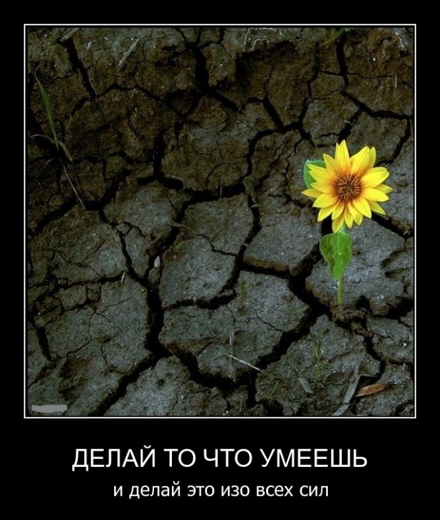 Подборка картинок