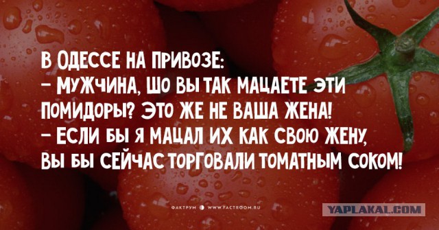 Смешные комменты из соцсетей и другие приколы.