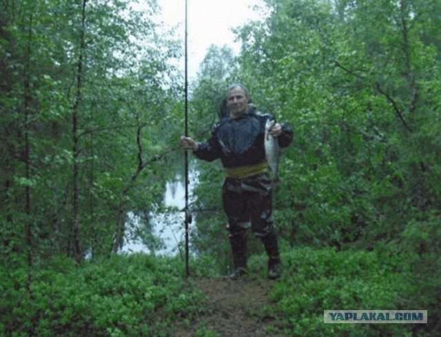 Горбуша, рыбка ты моя
