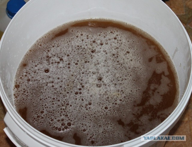 Пшеничное пиво "White beer" из консервы Muntos