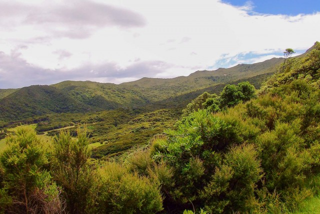 Great Barrier Island. Новая Зеландия.