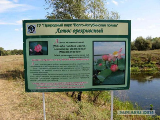 Топ-7 мест для отдыха в Волгоградской области