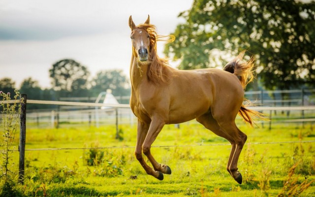 Подборка интересных и веселых картинок