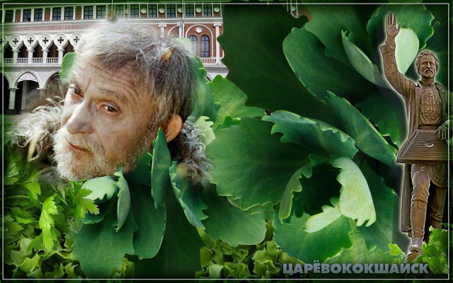 Стихи загадки (ники ЯПа)