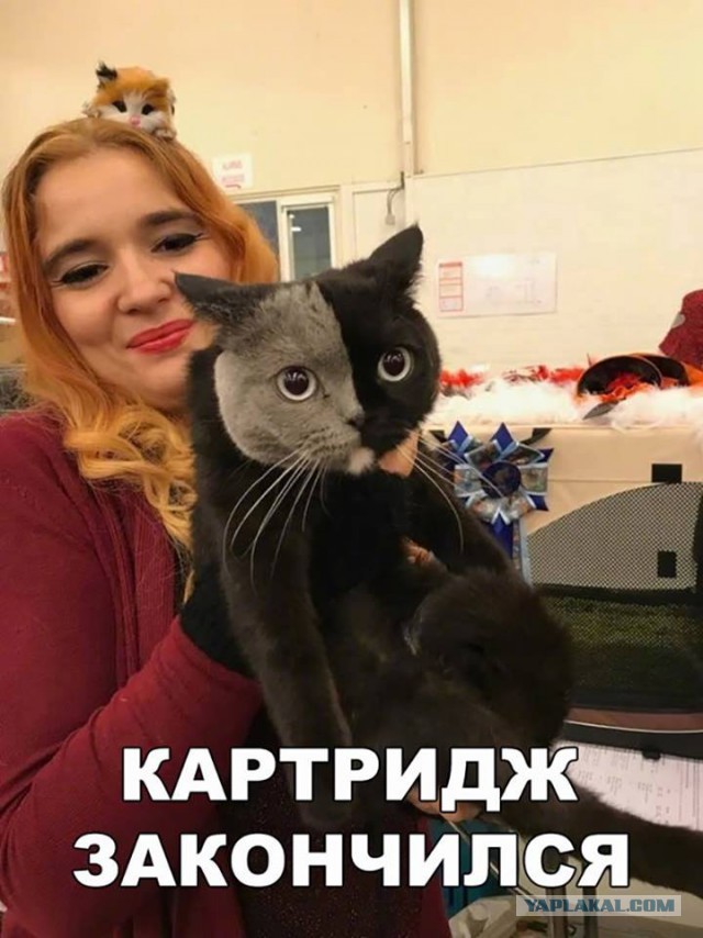 Картинки разные