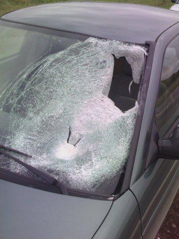 Соблюдай дистанцию!