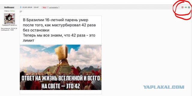 Работа не волк, но картинки сами себя не посмотрят!