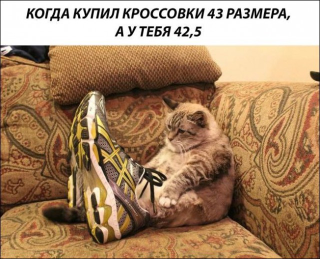 Суета суетой, а картинкам время уделять надо!
