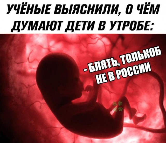 Не очень адекватный юмор