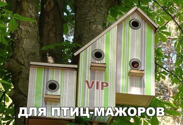 Нестандартный юмор