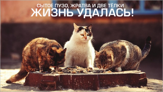 Три девицы под окном...