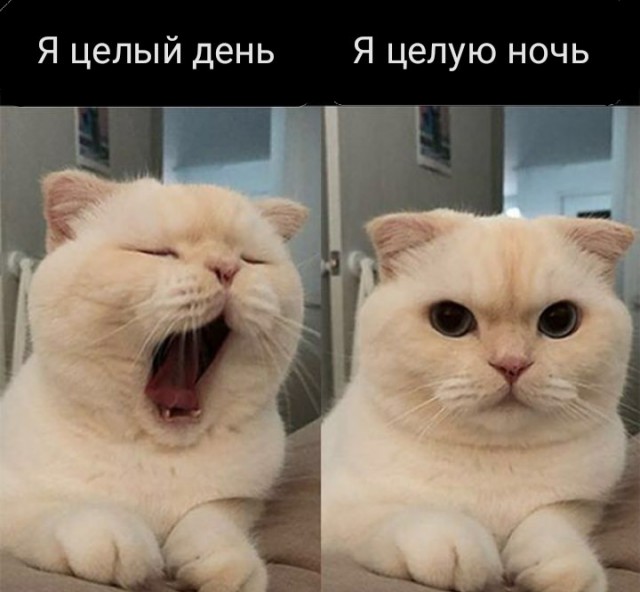 Немного картинок для настроения