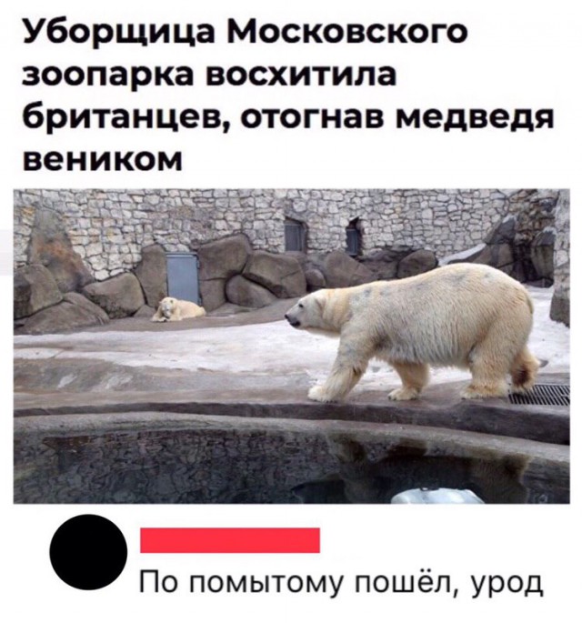 Прикольные комментарии и высказывания из Сети