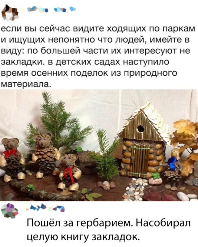 Чуток картинок 11.10.19