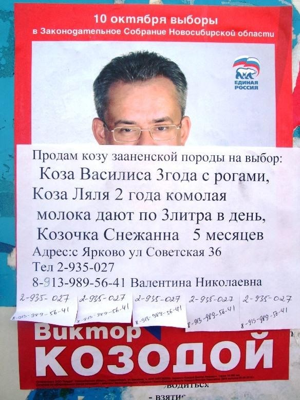 Продам козу
