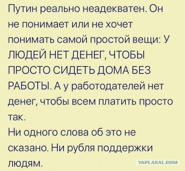 Карантин. День 11