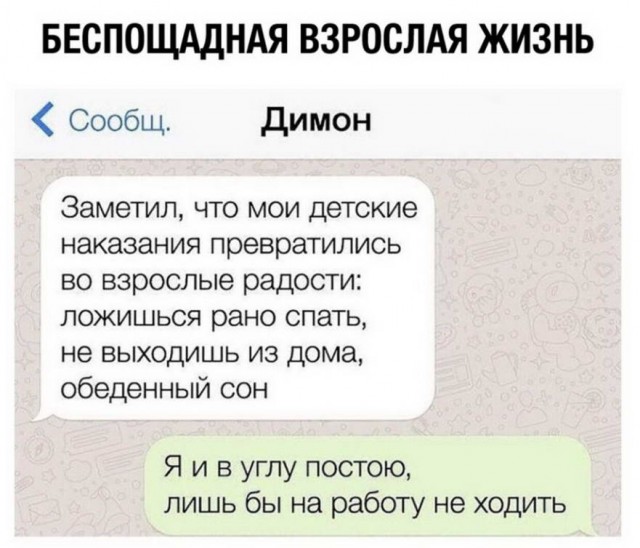 Картинки из рабочего чата 23.04