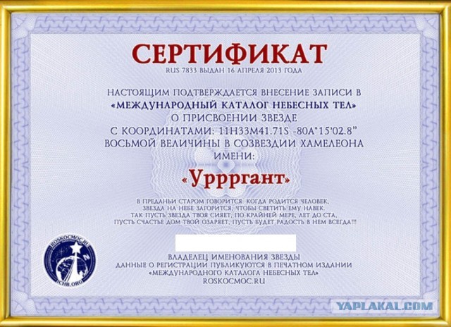Явка с повинной в неуплате налогов и незаконном предпринимательстве
