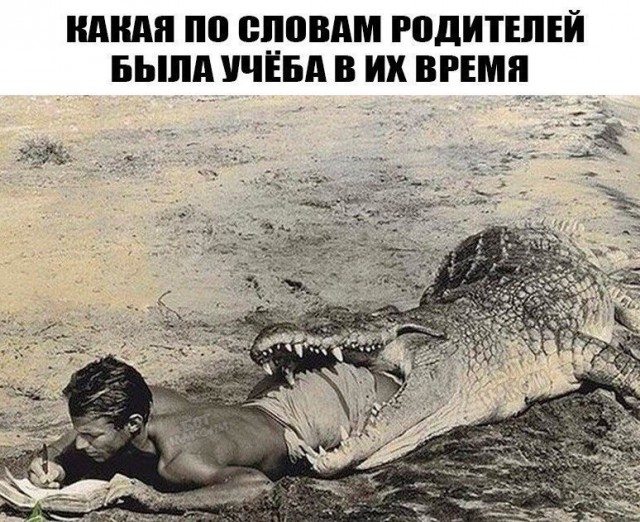 Так себе картинки 14.05.20