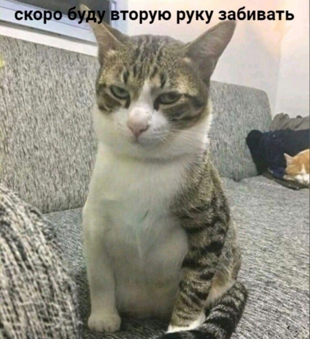 Прикольные и просто красивые картинки 10.09.2020