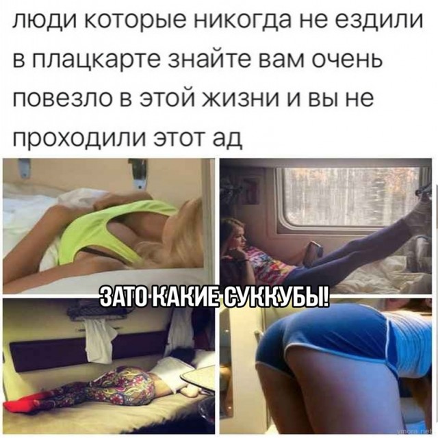 Весёлый полтишок 28.06.21