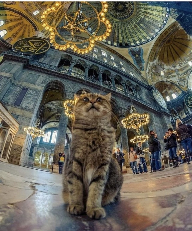Фотки и картинки с текстом: юморные и красивые, забавные и милые 12.07.21
