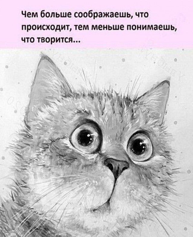 Так себе картинки 10.09.21