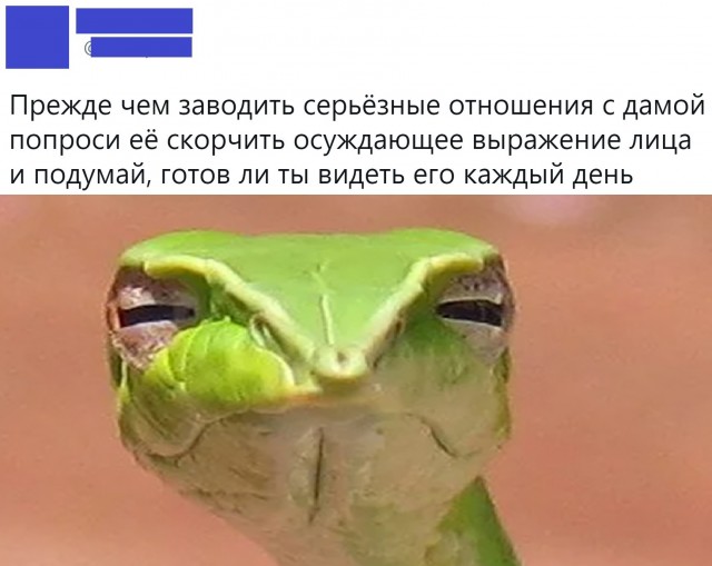 Баяны бабыЯны