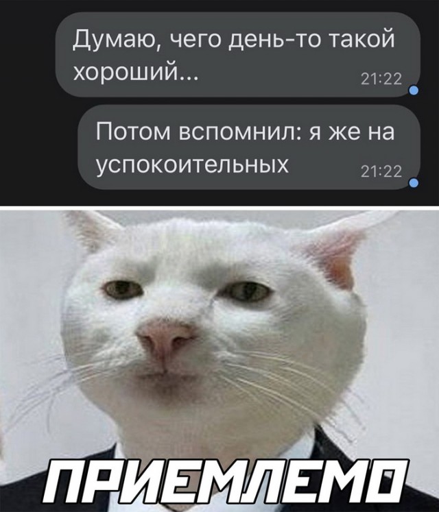 Человек собаке друг и другие картинки под настроение 13.01.2022