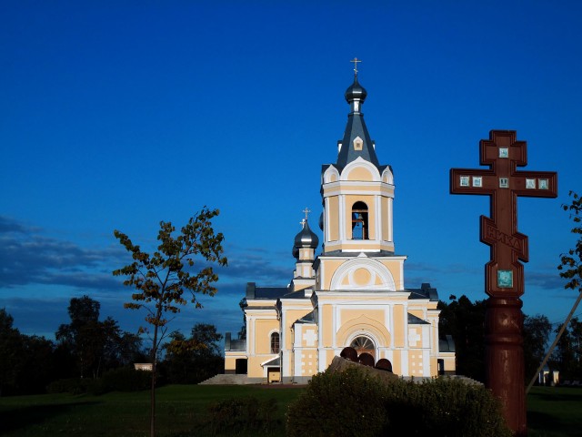 Лес в окрестностях Малуксы и Лезье-Сологубовка