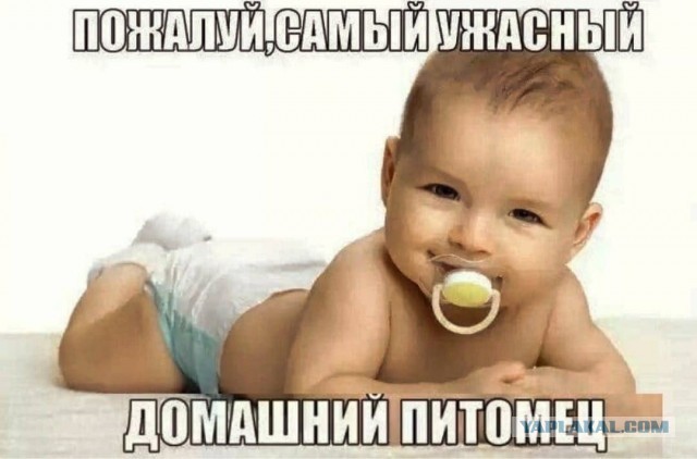Картинки аморальные и всякие разные - 25