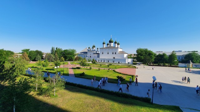 Астрахань – город «мёртвых» собак