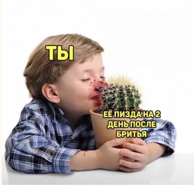 Картинки и мемы - "Жить, как говорится, хорошо..."