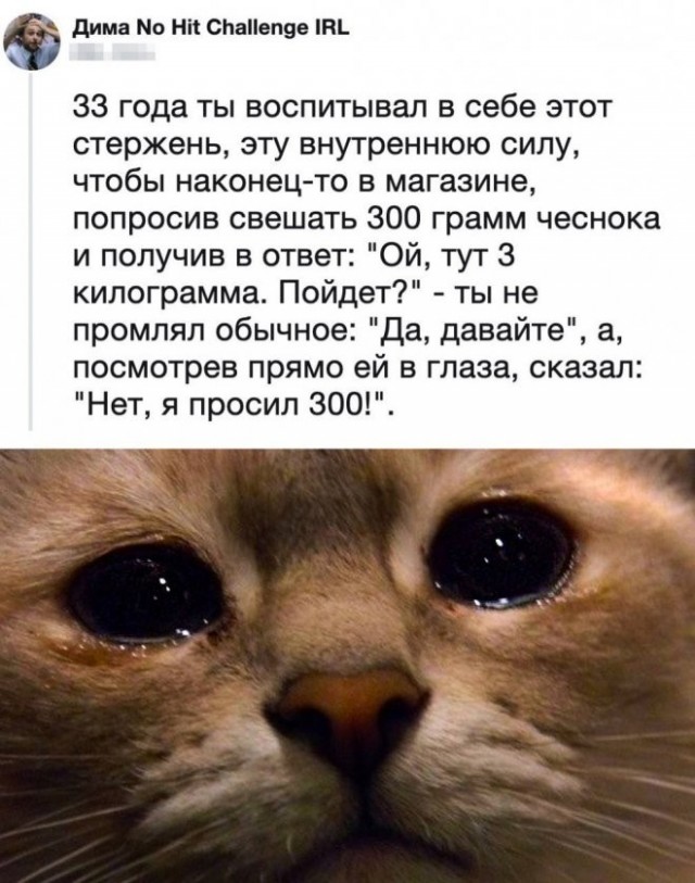Скриншоты и комментарии из социальных сетей 16.09.22