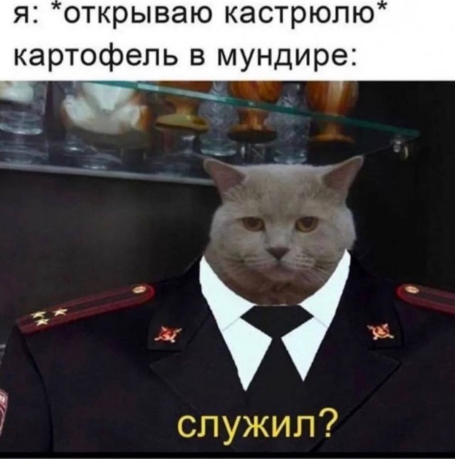 Путин призвал глав Центральной Азии к диалогу с талибами* в Афганистане