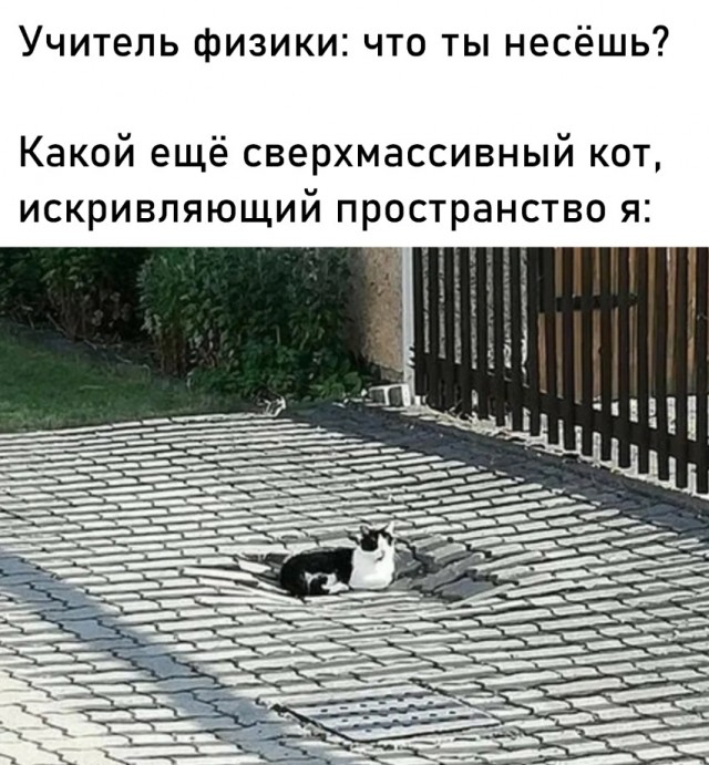 Весёлый полтишок  26.10.22