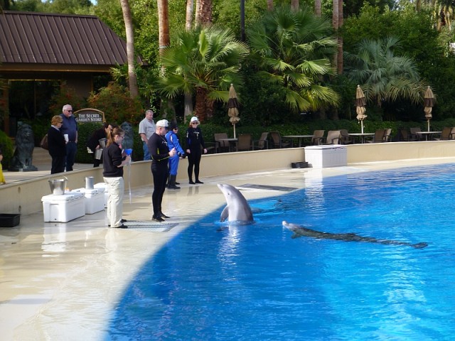 Деревенская Америка