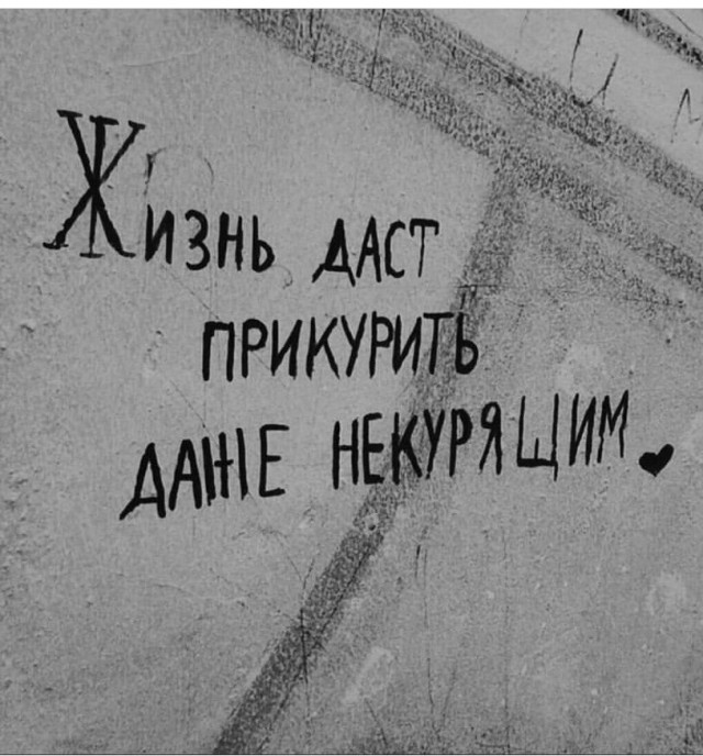 Забавные комментарии из социальных сетей (19.12.22)