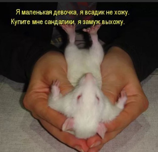 Победная поступь идиотизма по планете – том 6
