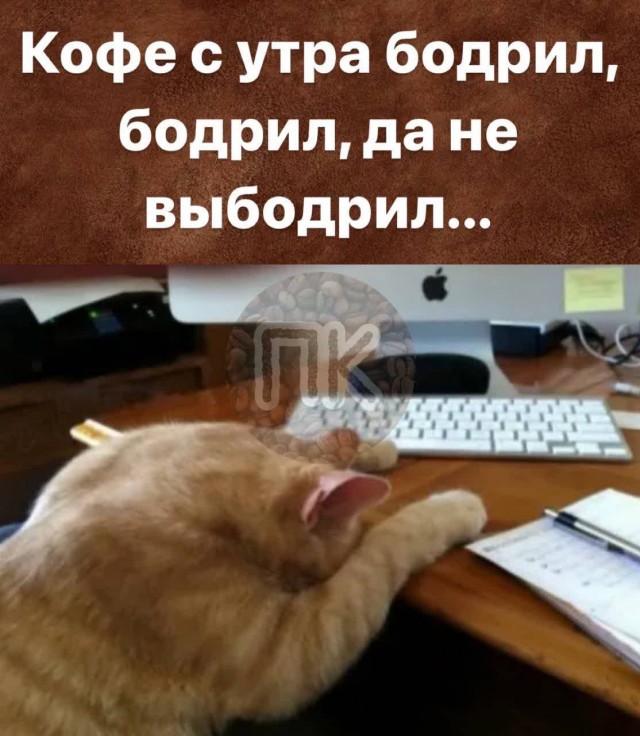 Победная поступь идиотизма по планете – том 7