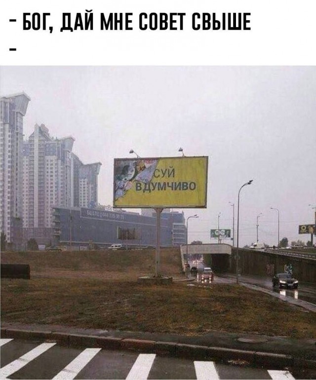 Весёлый полтишок 21.02.23