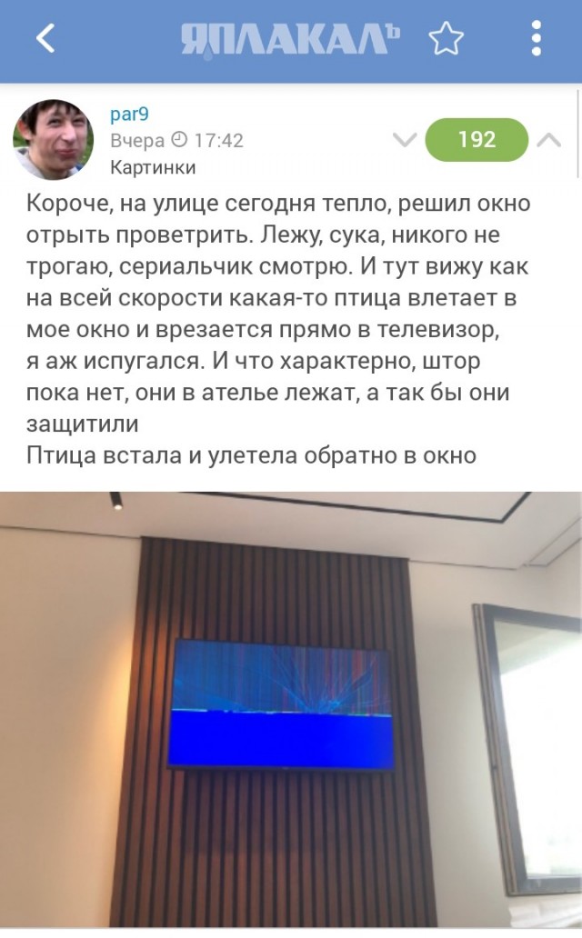 Тёща вызвала ментов