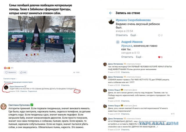 Бездомные собаки насмерть загрызли ребёнка в Оренбурге.