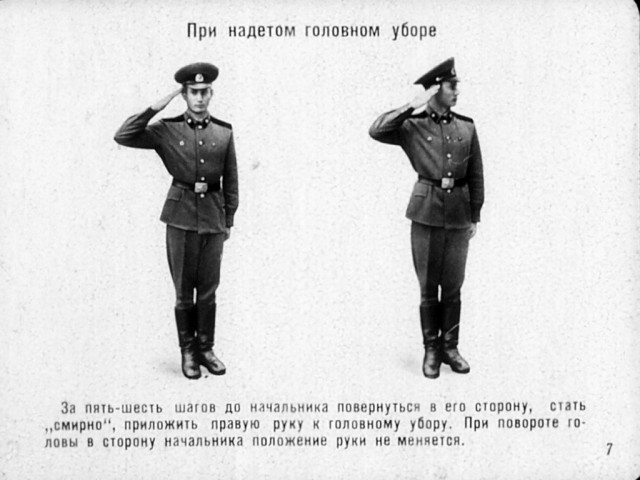 К пустой голове руку не прикладывают