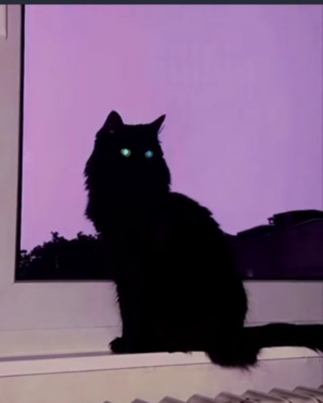 Котэ и молния
