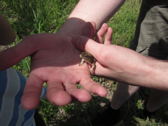 Почистил телефон